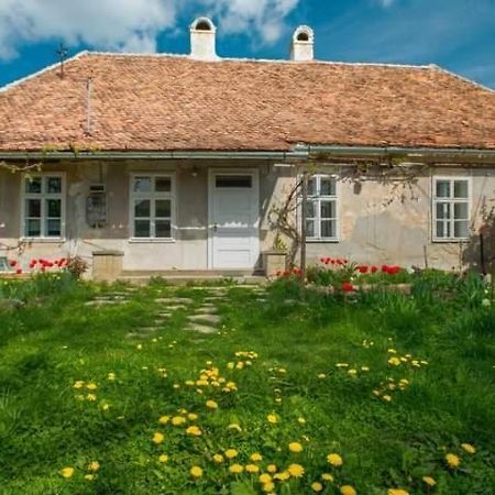 Gaestehaus Fogarasch Fagaras Exterior foto