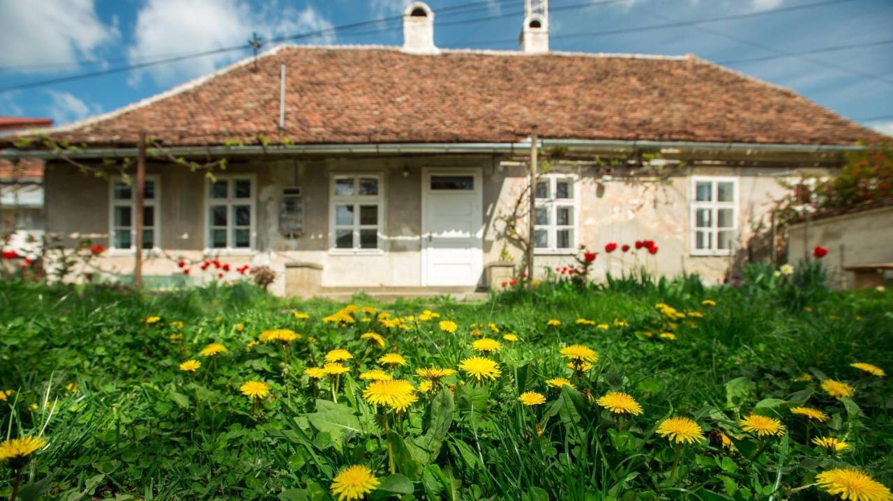 Gaestehaus Fogarasch Fagaras Exterior foto